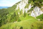 2014-07-05_Laengental-N-Hochweg (766). JPG